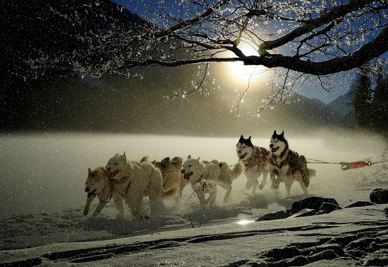 How Does Resilience Impact Team Building at Work?